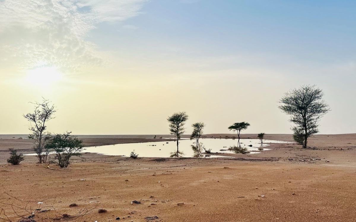 Artwork titled what i see in the desert