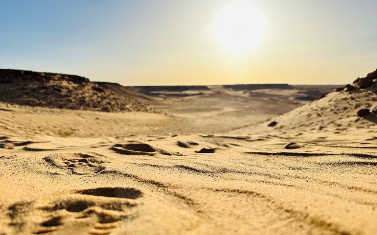 Artwork titled what i see in the desert